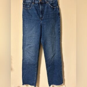 Express Dark Blue Wide Leg Straight Jeans